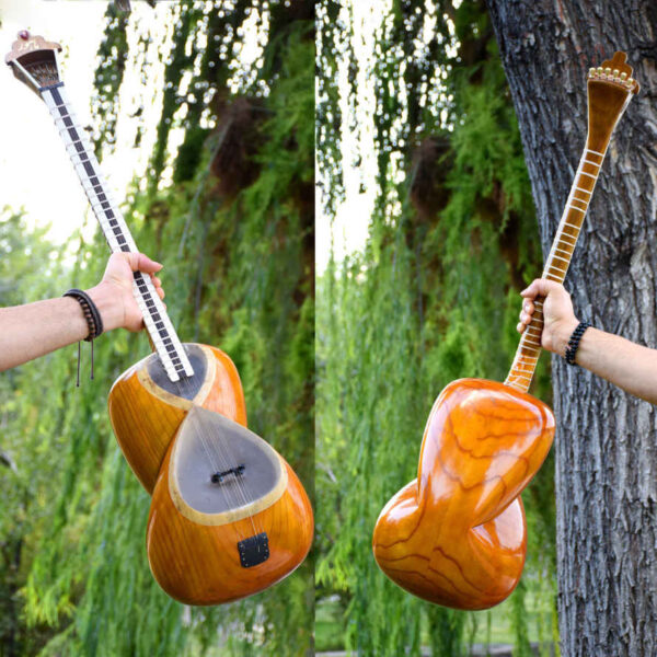 Persian Tar String Instrument Model Mahoor