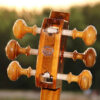 Persian Tar String Instrument – Handcrafted by Iran-Saz, Model 2 Stamp