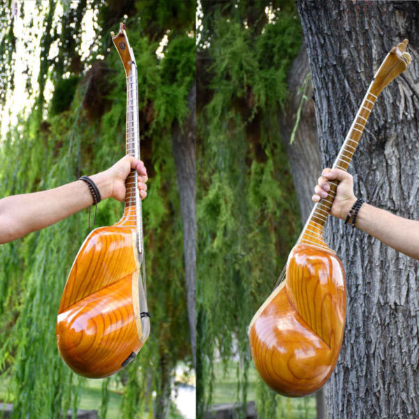 Persian Tar String Instrument Model Mahoor