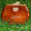 Persian Tar String Instrument – Handcrafted by Iran-Saz, Model 2 Stamp