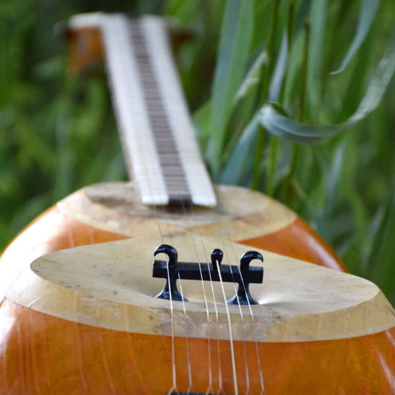 Persian Tar Handcrafted String Instrument by Mahoor - ShopiPersia