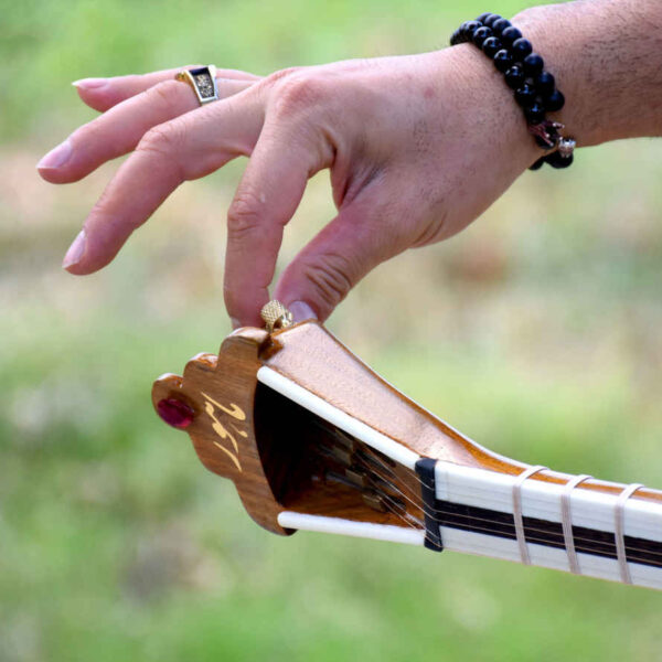 Persian Tar String Instrument Model Mahoor