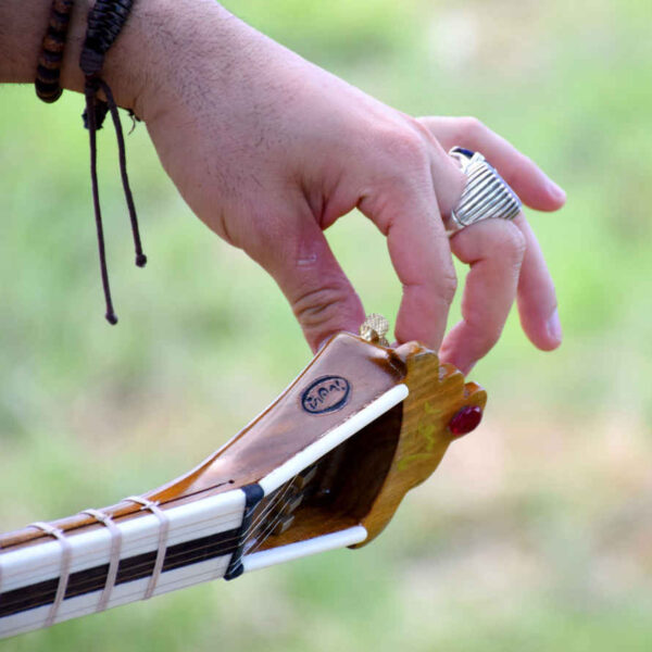 Persian Tar String Instrument Model Mahoor