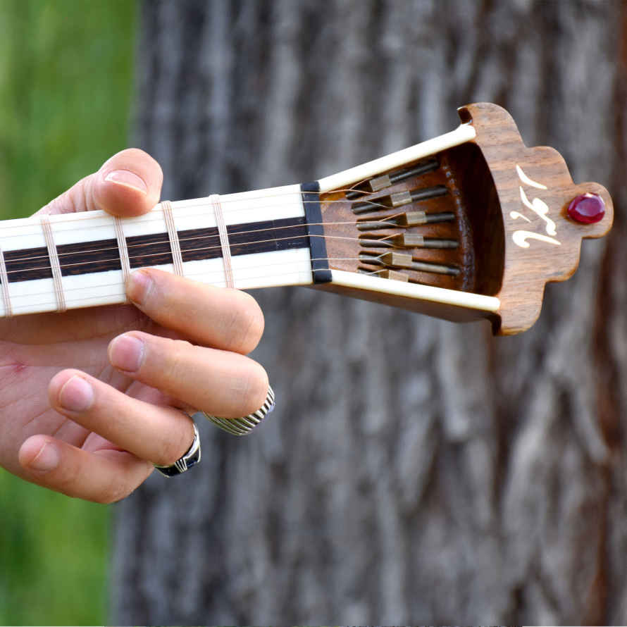 Persian Tar String Instrument – Handcrafted by Mahoor - ShopiPersia