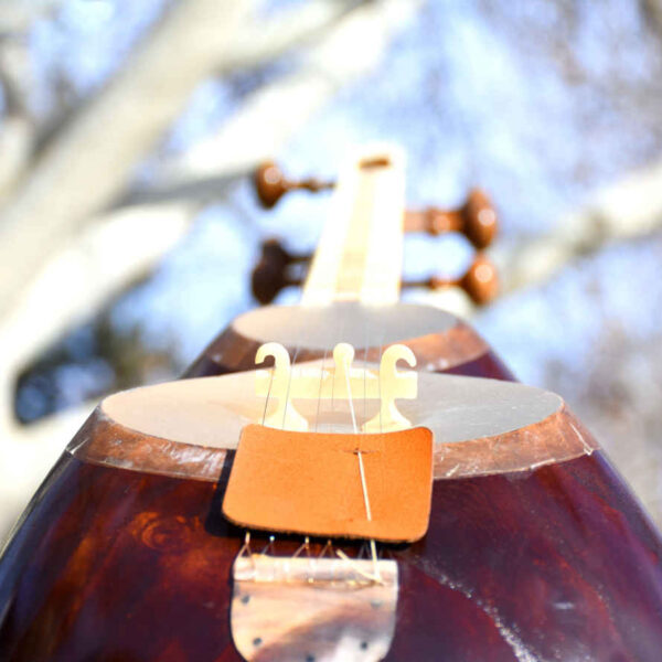 Persian Tar String Instrument Model 1 Mohr