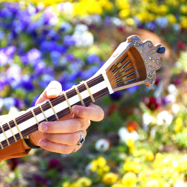 Persian Tar String Instrument Model Vida