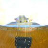 Persian Tar String Instrument – Handcrafted by Iran-Saz, Model Molana