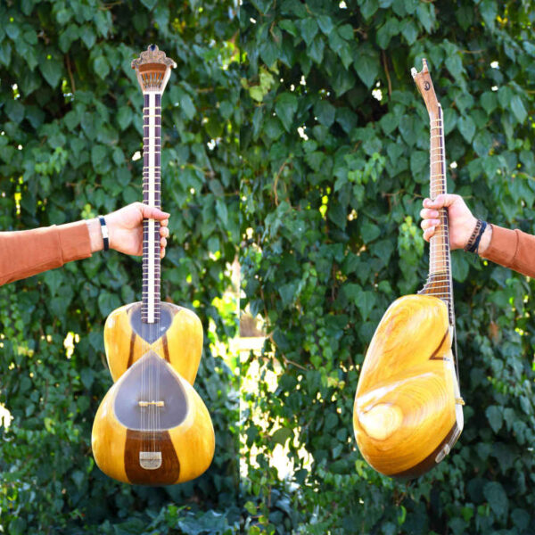 Persian Tar String Instrument Model Vida