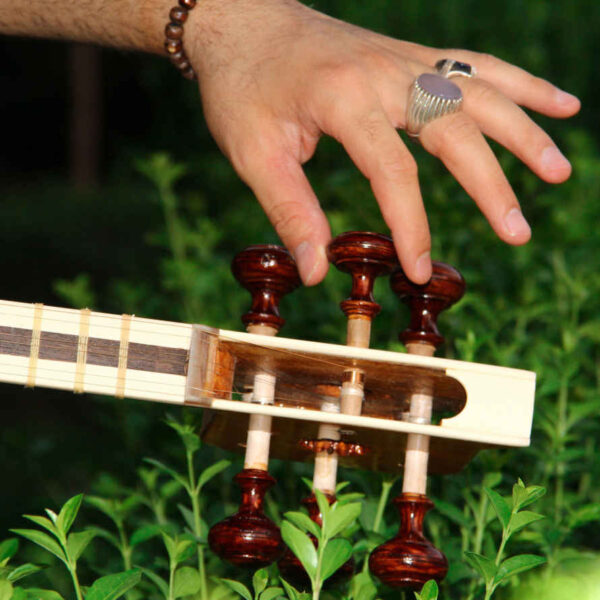 Iranian Tar String Instrument Model 1 Stamp