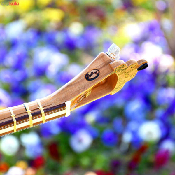 Persian Tar String Instrument Model Vida