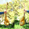 Persian Tar String Instrument – Handcrafted by Iran-Saz, Model Molana