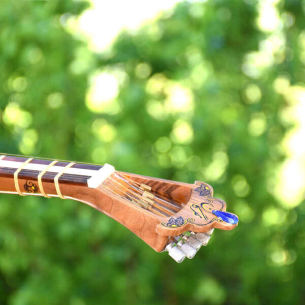 Persian Tar Handcrafted String Instrument by IranSaz Model Mehregan ...