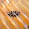 Persian Santur – Handcrafted Hammered Dulcimer by IranSaz, Hamoun
