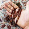 Islamic Amber Celine Rosary Crafted with 33 Prayer Beads Tasbih
