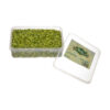 Silvered Iranian Pistachios, A Symphony of Flavor & Creamy Texture 1350 grams