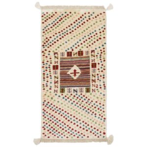 Tribal Handmade Persian Gabbeh Rug Model Garden