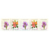 Collection of 5 Commemorative Stamps of Iran Flora Part 1