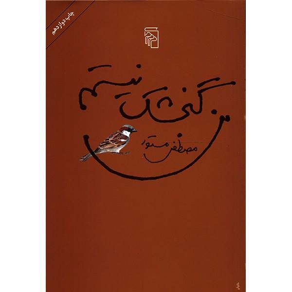 I am Not a Sparrow (Man Gonjeshk Nistam) by Mostafa Mastoor