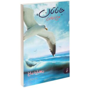 Jonathan Livingston Seagull Novel by Richard Bach