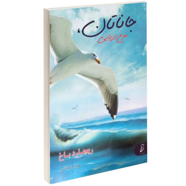 Jonathan Livingston Seagull Novel by Richard Bach