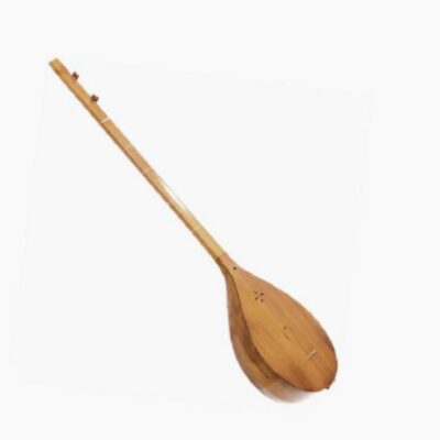 Persian Dutar Instrument by Master Farid, Economy