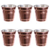 Persian Copper Cup - Set of 6 Handcrafted with Handle for Cold Drinks - Hammered Yas