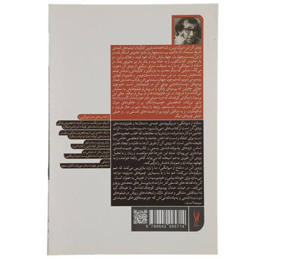 The Insanity Defense Book by Woody Allen (Farsi)