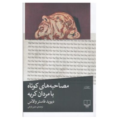 Brief Interviews with Hideous Me by David Foster Wallace