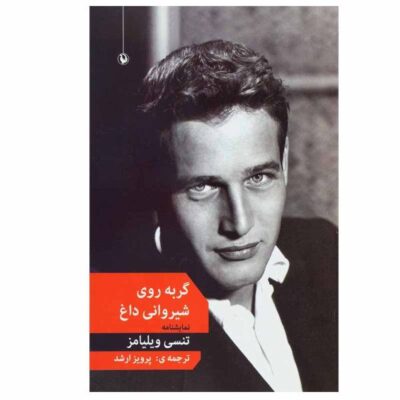 Cat on a Hot Tin Roof Play by Tennessee Williams