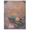 StarChaser Novel by Angie Sage (Farsi Edition)