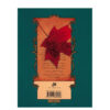 The Field Guide Book by Holly Black & Tony DiTerlizzi (Farsi)