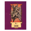 The Ironwood Tree by Holly Black & Tony DiTerlizzi (Farsi)