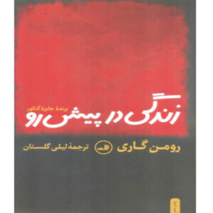 The Life Before Us Novel by Romain Gary (Farsi)