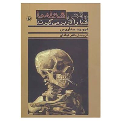 When You Are Engulfed in Flames Book by David Sedaris