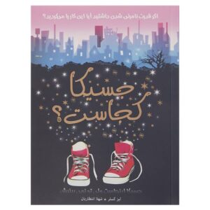 Has Anyone Seen Jessica Jenkins? Book by Liz Kessler