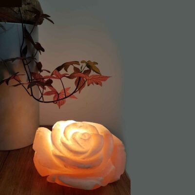 Persian Flower Salt Lamp – Handcrafted Rose G2 Design