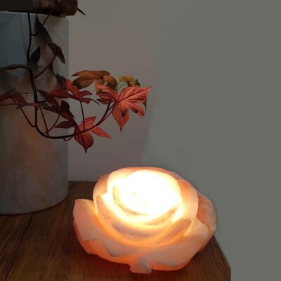 Persian Flower Salt Lamp – Handcrafted Rose Design