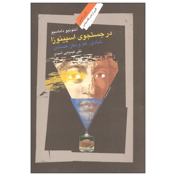 Looking for Spinoza Book by Antonio Damasio