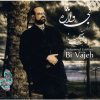 Bi Vajeh Music Album by Mohammad Esfahani