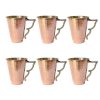 Persian Copper Cup - Set of 6 Handcrafted with Handle for Cold Drinks - Hammered Bahari
