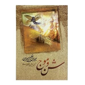 Sand and foam Book by Kahlil Gibran (Farsi Edition)