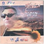 Shakheh Gol-e 13 Music Album by GH Banan