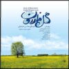 Gele Mazeroon Music Album by Various Artists