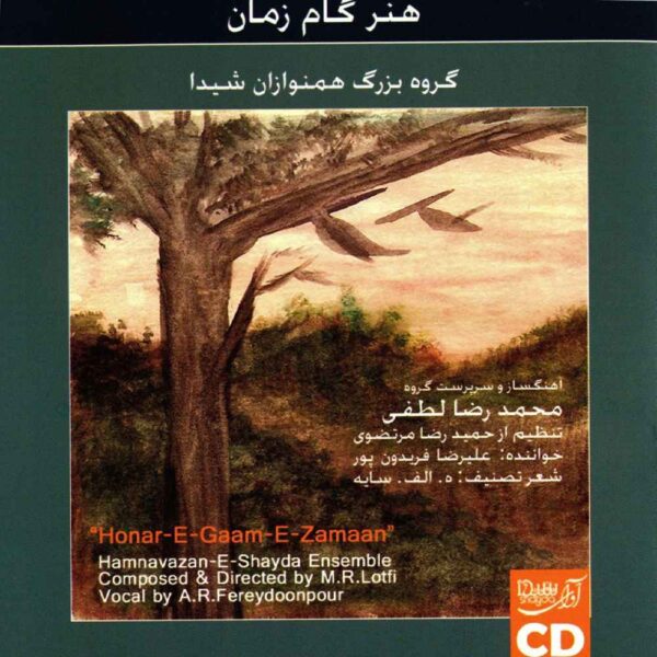 Hamnavazan-E-Shayda Ensemble by Mohamadreza Lotfi