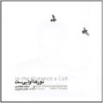 In The Distance A Call by Mohammad Motamedi