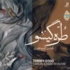 Torre Gisoo Music Album by Fardin Karim Khavari