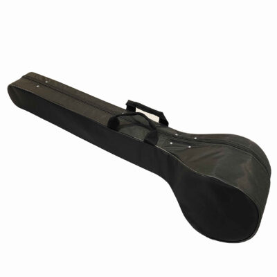 Hard Case for Persian Setar With Foam and Fabric Covering