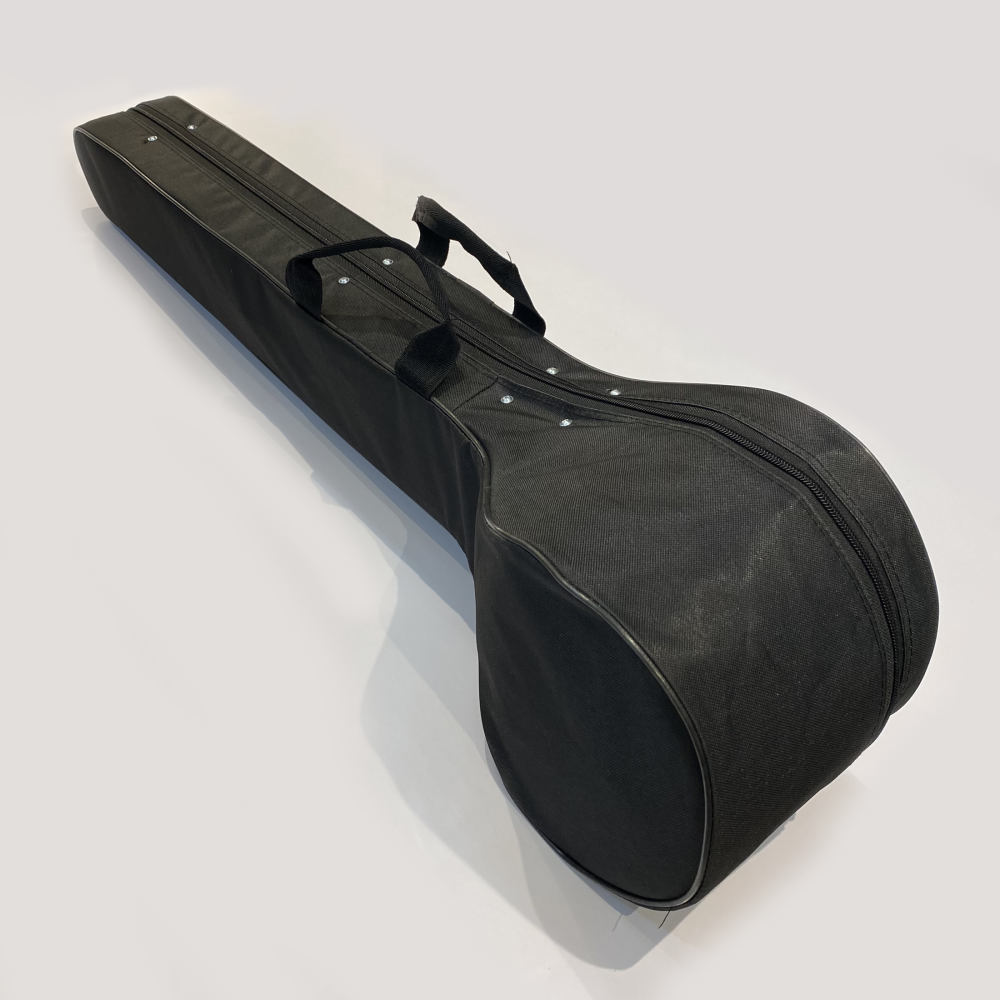Hard Case for Persian Setar With Foam and Fabric Covering