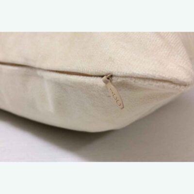 Persian Velvet Cushion Model Faraz (Set of 2)