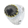Persian Dendritic Agate Shajar Silver Ring for Men Bahman